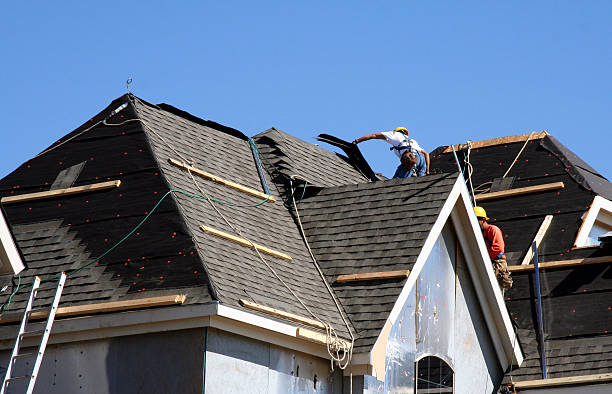 Best Roof Gutter Cleaning  in Coushatta, LA