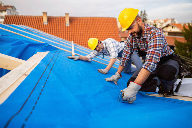 Best Shingle Roofing Installation  in Coushatta, LA